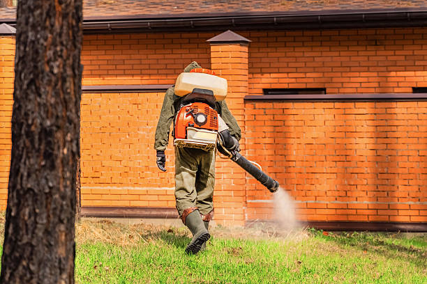 Trusted Termite Control service in Blytheville, AR - Nex Pest Control